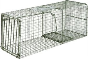 Duke Manufacturing Co. 1112 HD Cage Trap 30x12x12 Raccoon