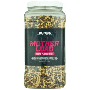 DOMAIN MLFP6-MICRO MOTHER LOAD - MICRO