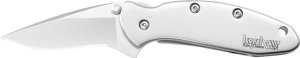 Kershaw 1600 Chive 1.9" Drop Point Pocketknife Silver Steel Blade