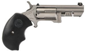 NAA Recluse 22 Magnum 2.00 In 5 rd XS Dot Stainless/Black