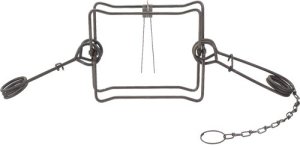 Duke Traps 0430 #330 Body Trap, 10" Jaw, Case of 6