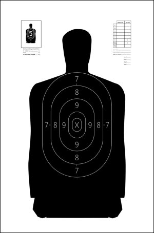 Action Target S29100 B-29 Silhouette Target 11.5"x22" 100 Pack