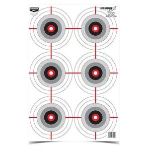 Birchwood CASEY Eze-Scorer 12x18in Multiple Bull's-Eye Target 100-Pack