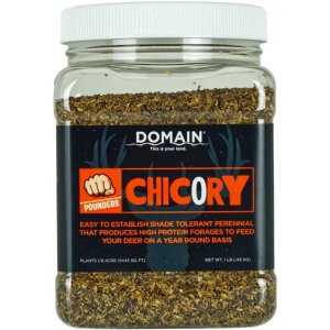Domain DCS1LB Chicory Seed 1 lb Drought-Resistant High-Protein