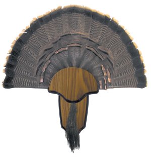 HS Precision Turkey Tail and Beard Mounting Kit Wood HS-00849