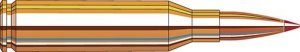 Hornady Manufacturing Company Superformance 260 Rem 129 gr SST