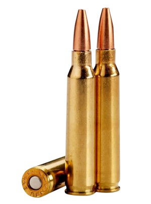 Lehigh Defense COMBAT .223 Rem 55gr 20/Box LA223-55-CC