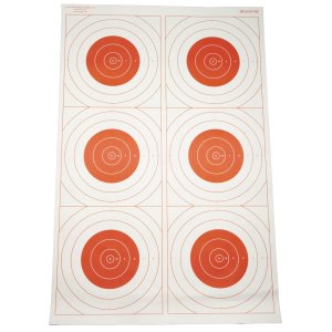 Action Target SR-21C6T-RD-100 Six Bullseye Targets 23x35 100pk