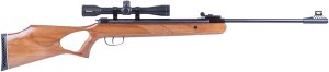 Blue Line 25003205 Diana Two-Fifty 5.5mm .22 Cal Air Rifle 24J Gas Spring