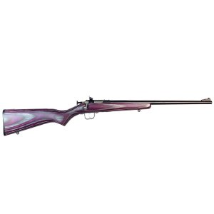 Keystone Sporting Arms Crickett 22 LR KSA2227