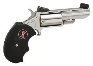 North American Arms NAA-BWLA Black Widow 22 LR Revolver 2" Stainless 5rd