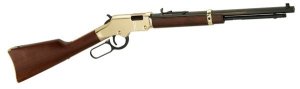 Henry Repeating Arms Golden Boy 22 LR H004Y