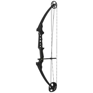 Genesis Gen X Bow 12308 Black RH, 25-40 lbs Draw, 21-30 in Length