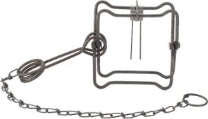 Duke Traps 0400 #110 Body Trap, 4.5" Jaw, Case of 12