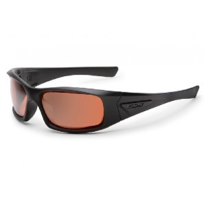 ESS 5B Ballistic Sunglasses Clear Anti-Fog Lenses Black