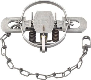Duke Traps 0490 #2 Coil Spring Trap, 5.5" Jaw, Case of 12