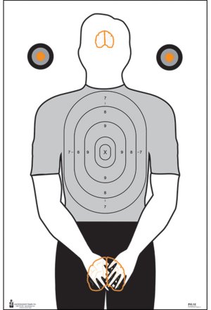 Action Target PIC12100 Politically Incorrect Silhouette 23"x35" 100/Box