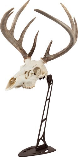 Allen 7226 EZ Mount Centerpiece Skull Stand Brown