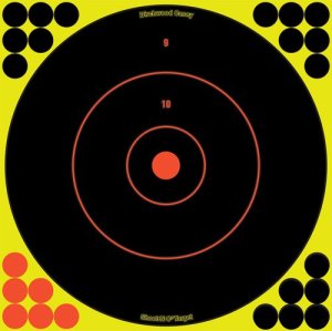 Birchwood Casey SHOOTNC 12IN BULLSEYE TARGET BULK 10PK PACKAGED
