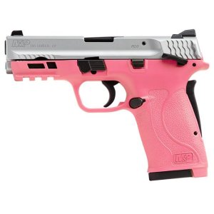 Smith & Wesson M&P380 Shield EZ 380 AUTO 13282