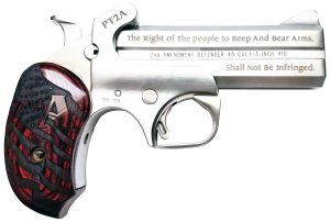 Bond Arms PT2A Protect the 2nd Amendment 38 Special357 Mag 4.25" 2...