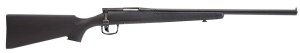 Savage Arms 96975 17 WSM 96975