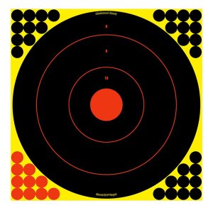 Birchwood Casey 34186 17.25 Inch Bullseye Self-Adhesive Target 12 Pack