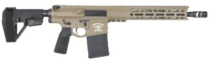 Brigade Manufacturing BM-10LR .308 Win A2082255MC