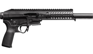 Patriot Ordnance Factory Rebel 22LR 01837 22 LR
