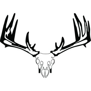 Raxx 855809007152 Crossbow Hanger Whitetail Skull, Carbon Steel, 30"x20"