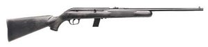 Savage Arms 64 F 22 LR 40203