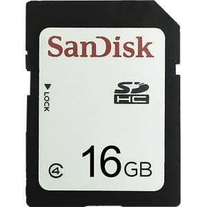 Wildgame Innovation WGI-WGICA0035 16GB Class 10 SD Card 2-Pack