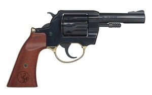 Henry Repeating Arms Golden Boy 22 LR H016GD
