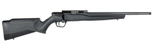 Savage Arms B17 17 HMR 70803