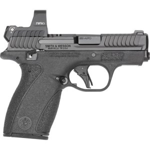 S&W BODYGUARD 2.0 RFX1 SIGHT 380ACP 10 RD MAG BLK