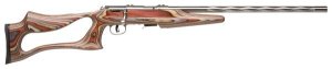 Savage Arms 96771 93R17 BSEV Bolt Action 17 HMR Caliber with 5+1 Capacity, 21" Barrel, Stainless Finish, Wood Laminate Stock