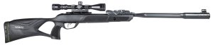 Daisy Swarm Whisper Fusion 10X GEN2 .22 Pellet 20.5In 10Rd