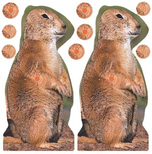 Birchwood Casey 34786 Prairie Chuck 8 in Self-Adhesive Target 12 Pack