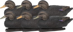 Zink Floater Decoys Black Duck 6 Pack ZNK-ZNKDYBLK