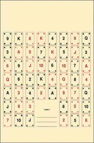 Action Target CARD2100 Paper Targets 22.5Inx24In 100/Box