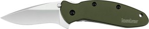 Kershaw 1620OL Scallion Olive Drab Knife