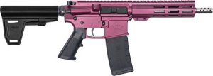 Great Lakes Firearms AR15 223 Wylde GL15223SSPB CHY