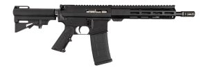 Dpms DP-15 .300 BLK DP51655231683
