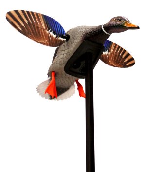 Mojo Outdoors Elite Mini Mallard Drake Decoy Multi-Color Plastic