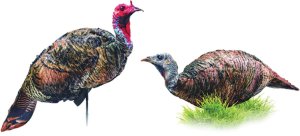 Montana Decoy 86 Purr-Fect Pair XD Combo, Realistic Turkey Decoys, 22 oz