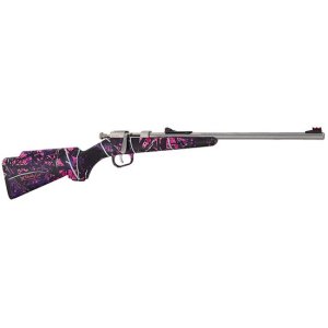 Henry Repeating Arms HENRY MINI BOLT 22 LR H005MG