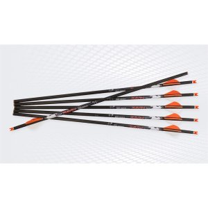 Ravin R149 HD 500gr Arrows .001 6pk, Carbon, 2" Offset Vanes, Polymer Nocks