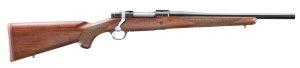 Ruger Hawkeye 243 WINCHESTER 67102