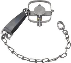 Duke Traps 0310 #1 Long Spring Trap, 4" Jaw, Case of 12