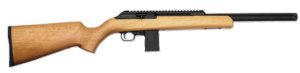 Chiappa Firearms 500.282 22 LR 730